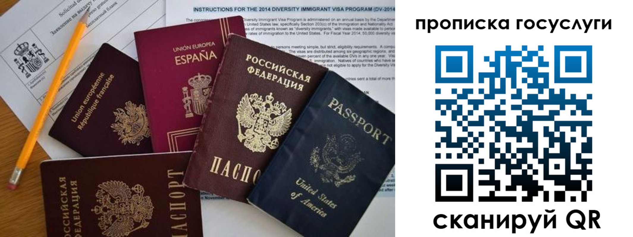 прописка гарантия в Донском